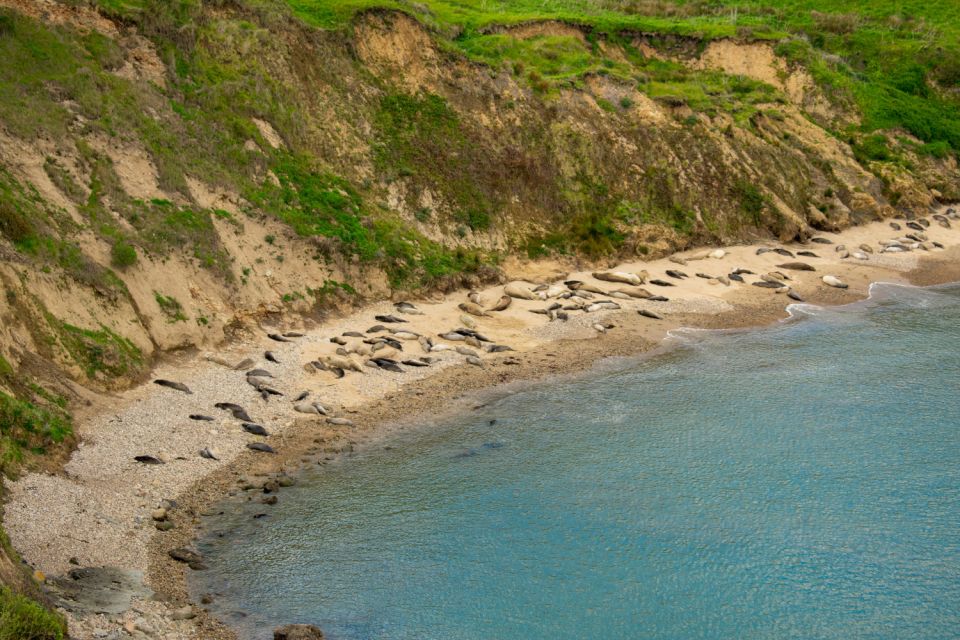 Point Reyes National Seashore Self Guided Driving Tour - Frequently Asked Questions