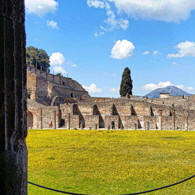 Pompeii & Herculaneum From Positano or Sorrento - Recap