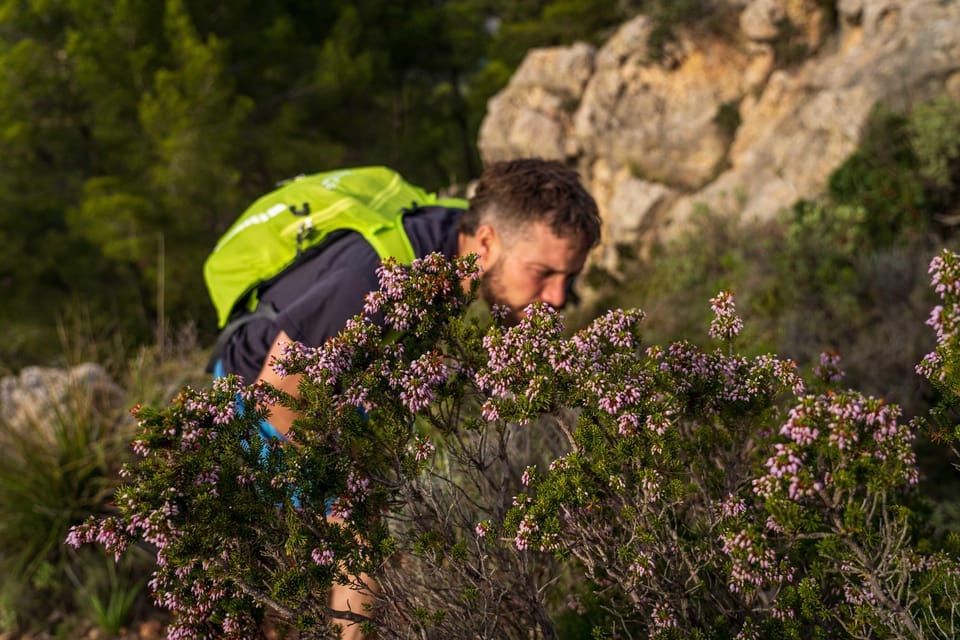 Port Andratx: Hiking Tour Into the Sunset to Sant Elm - Frequently Asked Questions