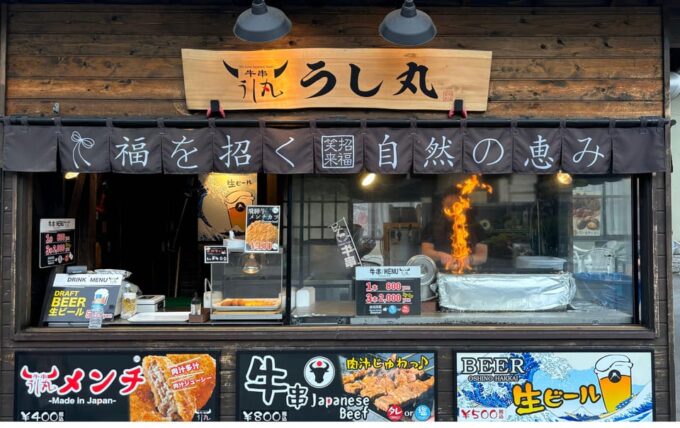 Private: Hakone and Kawaguchi in One Day. - Recap