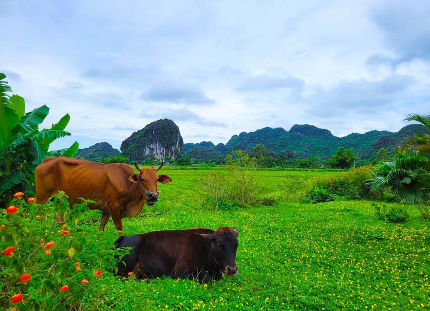 Private Ninh Binh Luxury Day Trip: Tam Coc, Mua Cave,Cycling - Frequently Asked Questions