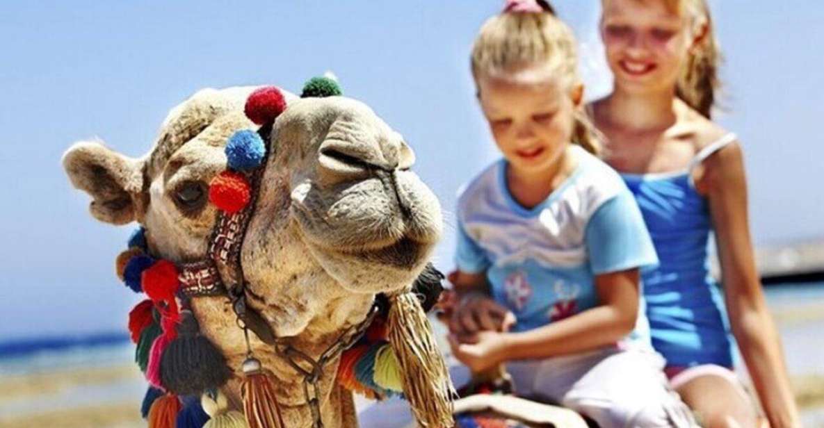 Private Tangier Tour With Lunch and Camel Ride - Frequently Asked Questions