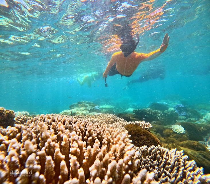 PROFESSIONAL SNORKELING to Explore Coral Spots in Phu Quoc - Frequently Asked Questions