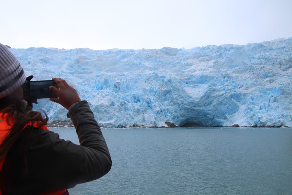 Punta Arenas: Full-Day Whales, Penguins, and Glaciers Tour - Frequently Asked Questions