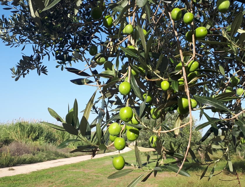 Ragusa: Sicilian Baroque Tour With Wine & Gourmet Food - Frequently Asked Questions