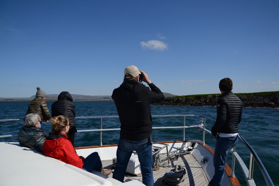 Reykjavik: Whale Watching and Dolphin Watching Yacht Cruise - Frequently Asked Questions