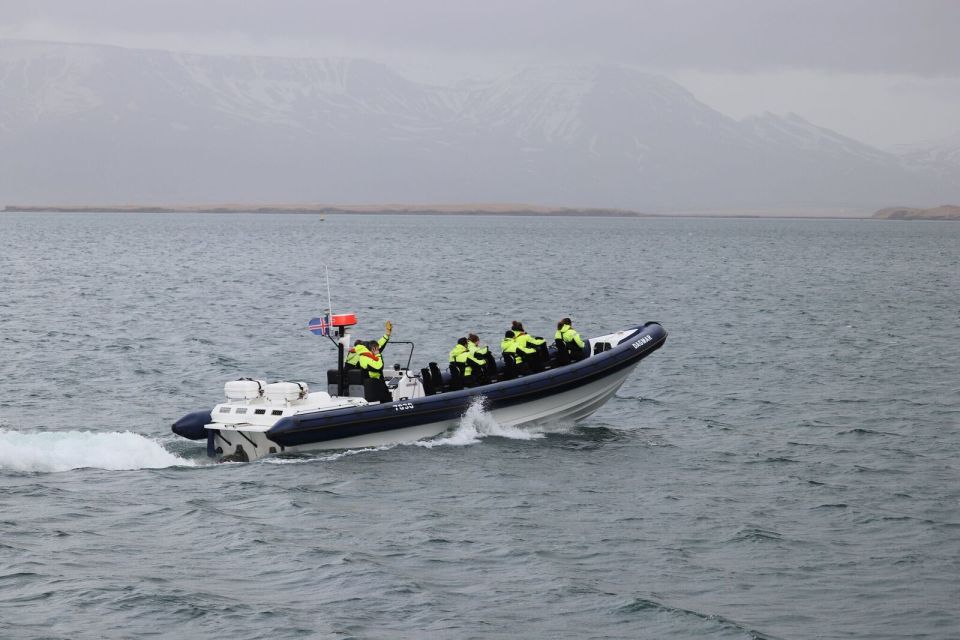 Reykjavik: Whale Watching Tour by RIB Boat - Frequently Asked Questions