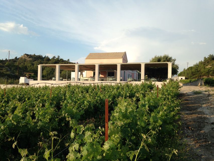 Rhodes: Cooking Class and Wine Tasting Experience - Frequently Asked Questions