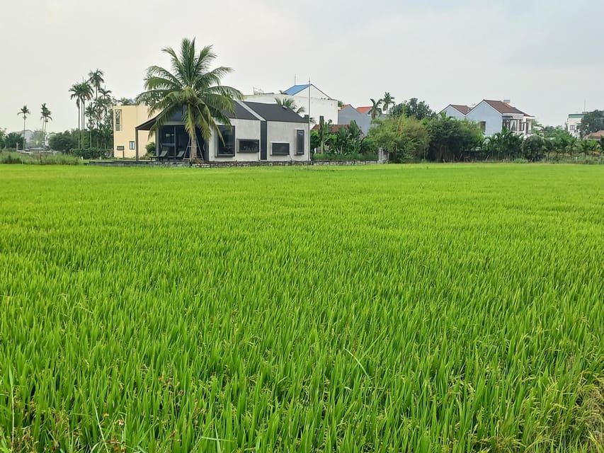 River Cruise – Discover the Beauty of Hoi An's Countryside - Frequently Asked Questions