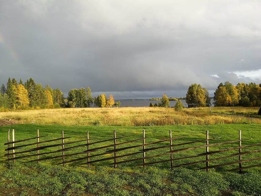 Rovaniemi: Arctic Wilderness & Forests Guided E-Bike Tour - Frequently Asked Questions