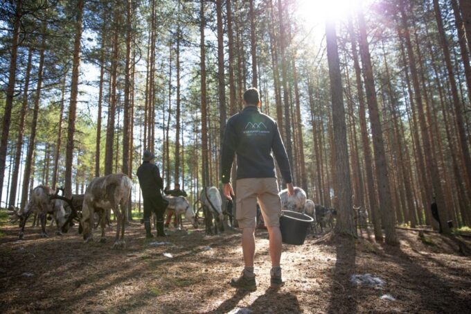 Rovaniemi: Authentic Reindeer Farm & Canoeing - Frequently Asked Questions