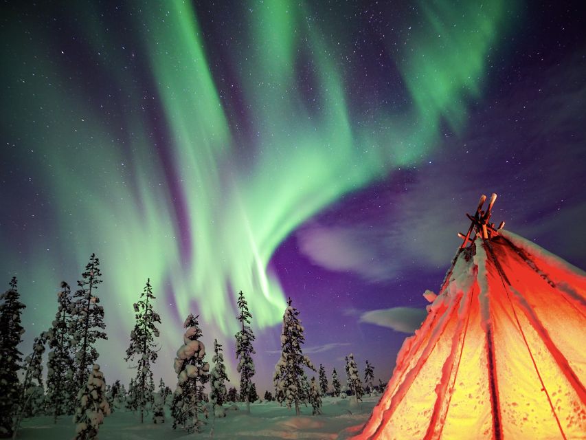 Rovaniemi: Northern Lights Wilderness Tour With Camera - Frequently Asked Questions