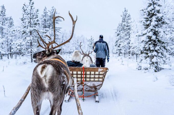 Rovaniemi: Saami Reindeer Farm Visit & Sleigh Ride - Frequently Asked Questions