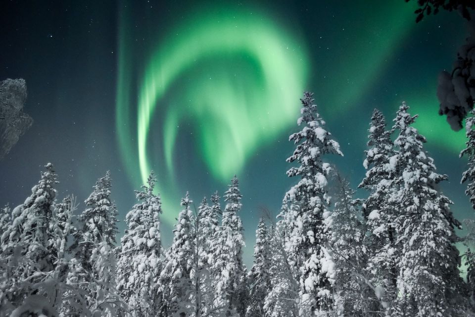 Rovaniemi: Search for Northern Lights Snowmobiling Trip - Frequently Asked Questions