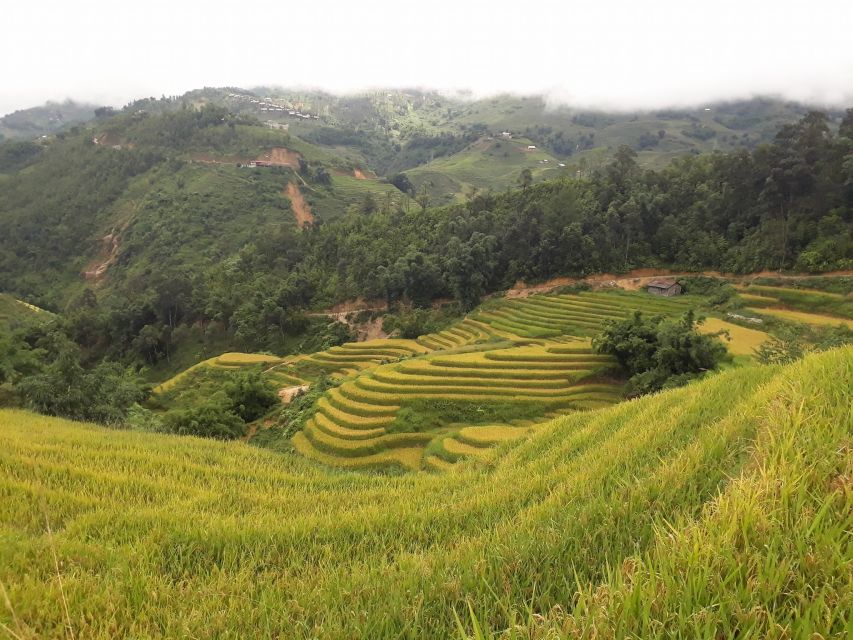 Sa Pa: Muong Hoa Valley Trek and Local Ethnic Villages Tour - Frequently Asked Questions