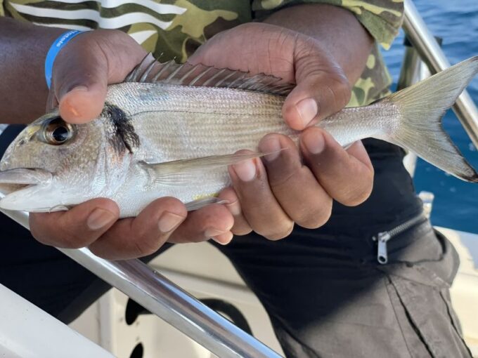 Salou: Hands-On Fishing Trip With Swimming at Sea - Frequently Asked Questions