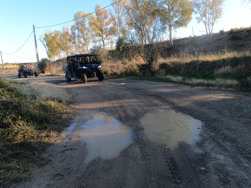 Salou: Kids Buggy Driving Experience in Safe Environment - Frequently Asked Questions