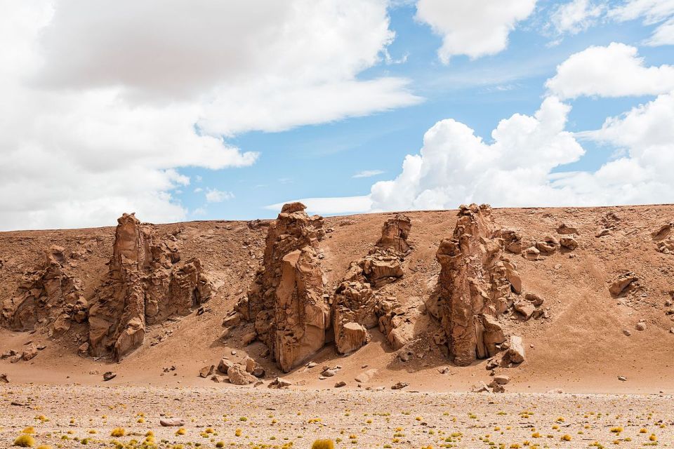 San Pedro De Atacama: Atacama Desert and Salt Flats Day Trip - Frequently Asked Questions