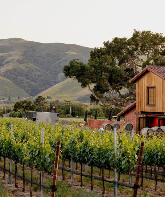 Santa Barbara Wine Country Vineyards & Villages Tour - Frequently Asked Questions