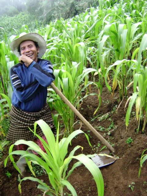 Santa Cruz La Laguna: 6-Hour Solola Hike & Market Visit - Frequently Asked Questions