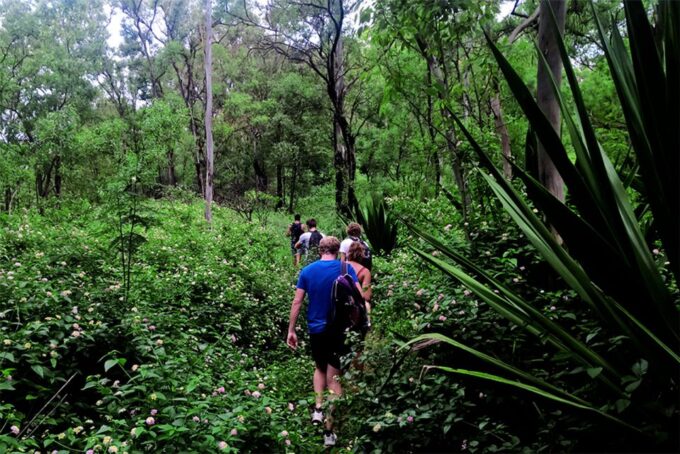 Santiago Island: Serra Malagueta & Tarrafal Beach Trek Tour - Frequently Asked Questions