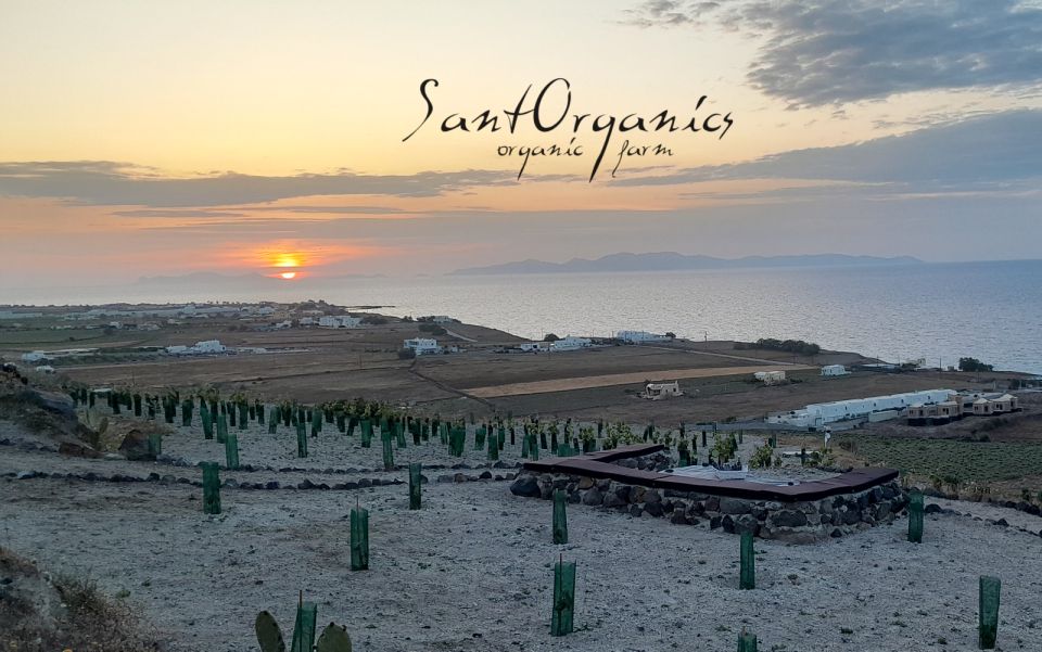 Santorini: Private Agri-Educational Visit to an Organic Farm - Frequently Asked Questions