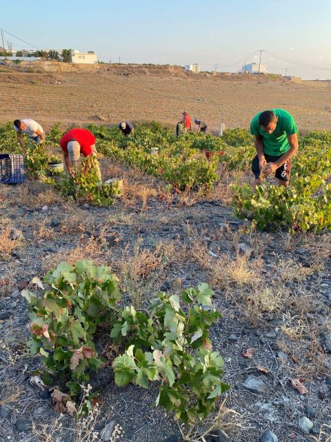 Santorini Private Wine Tour for Wine Enthusiasts - Frequently Asked Questions