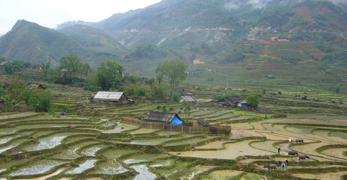 Sapa: 1-Day Trek Through Muong Hoa Valley & Villages - Frequently Asked Questions