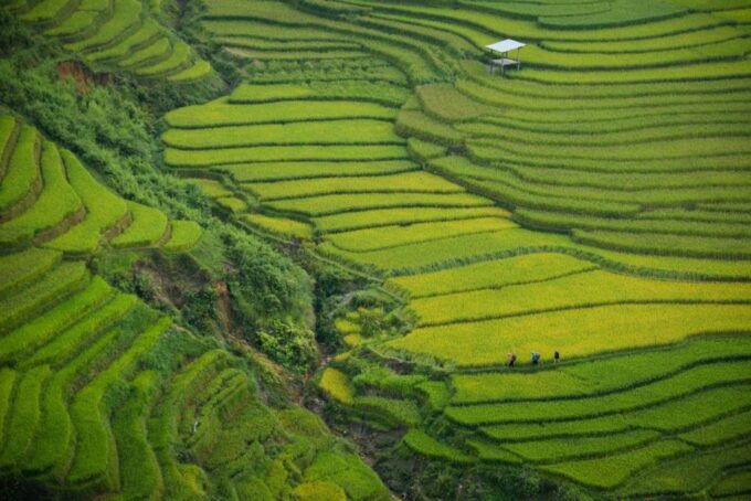 Sapa 3-Day Trekker - Frequently Asked Questions