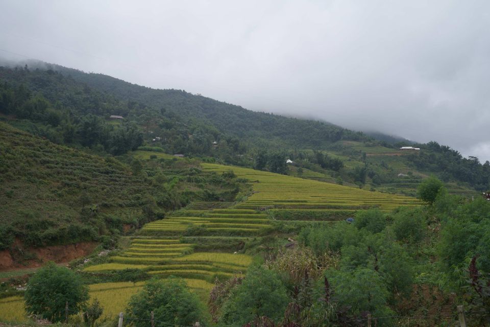 Sapa Full Day Trip to Ta Phin - Cat Cat Village With Lunch - Frequently Asked Questions