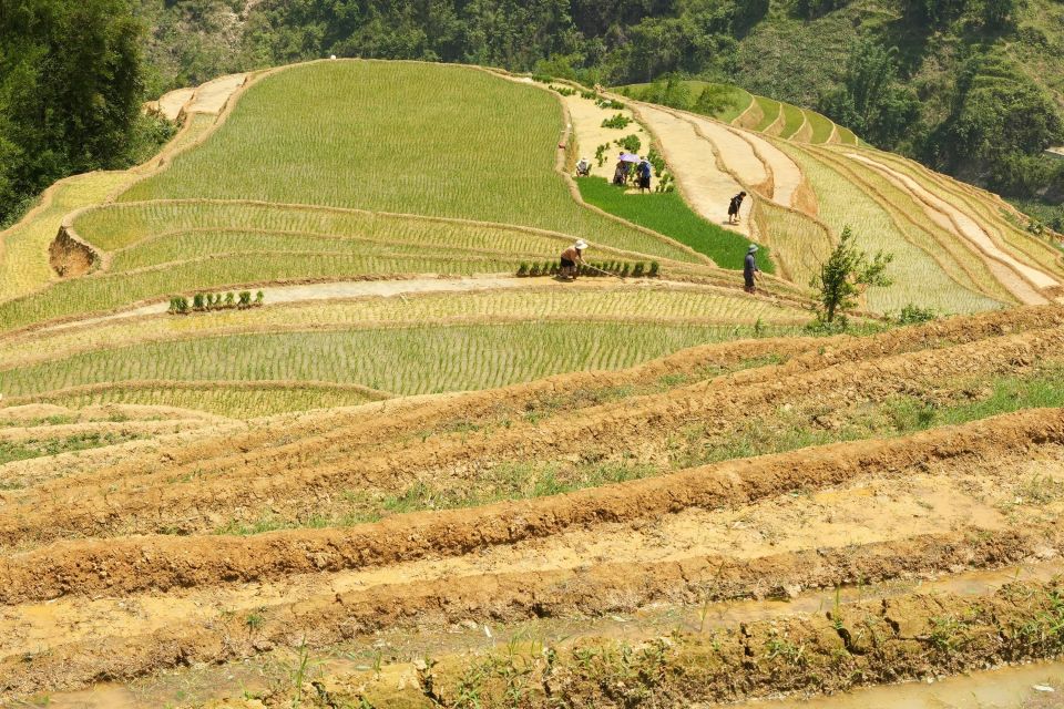 Sapa Hard Trekking Villages and Homestay 2 Days 1 Night Trip - Frequently Asked Questions