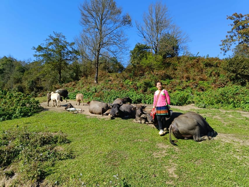 SAPA TREKKING & HOMESTAY: 3D2N - Frequently Asked Questions