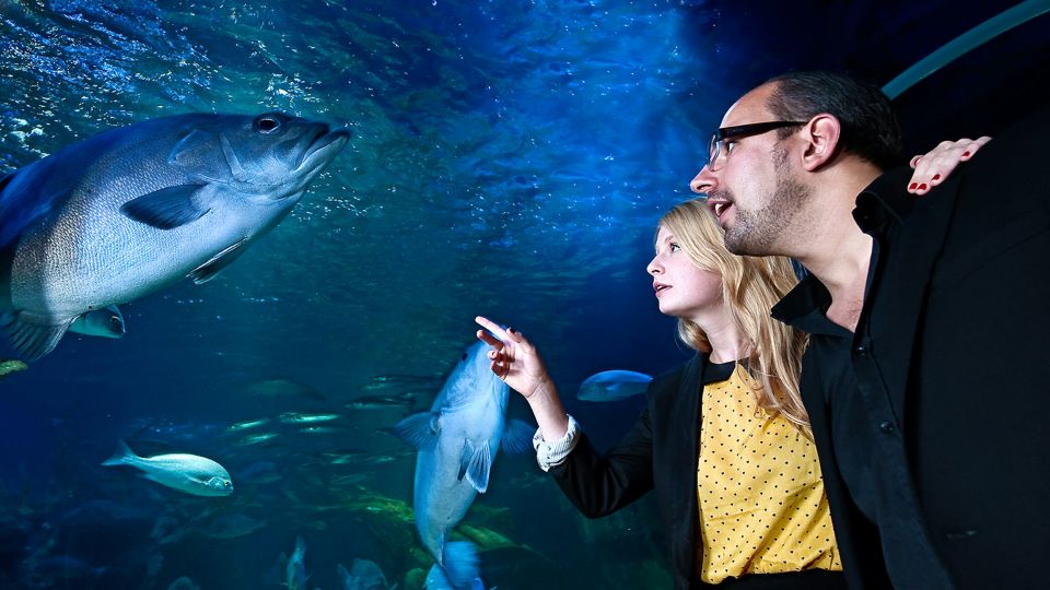 SEA LIFE Berlin Tickets - Frequently Asked Questions