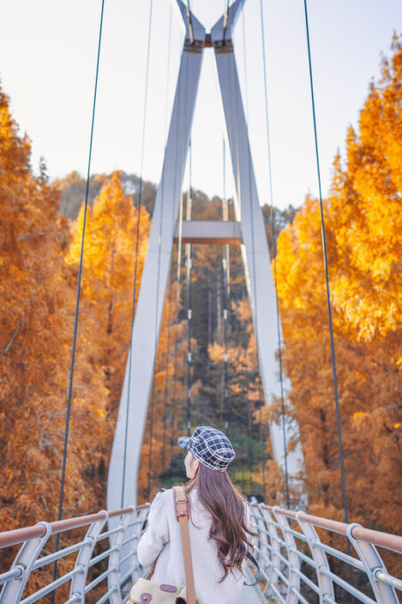 Seoul: Autumn Jangtaesan Recreational Forest One Day Tour - Frequently Asked Questions
