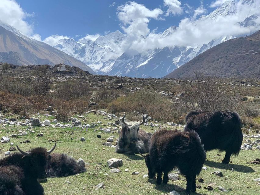 Short Langtang Valley Trek - 6 Days - Frequently Asked Questions