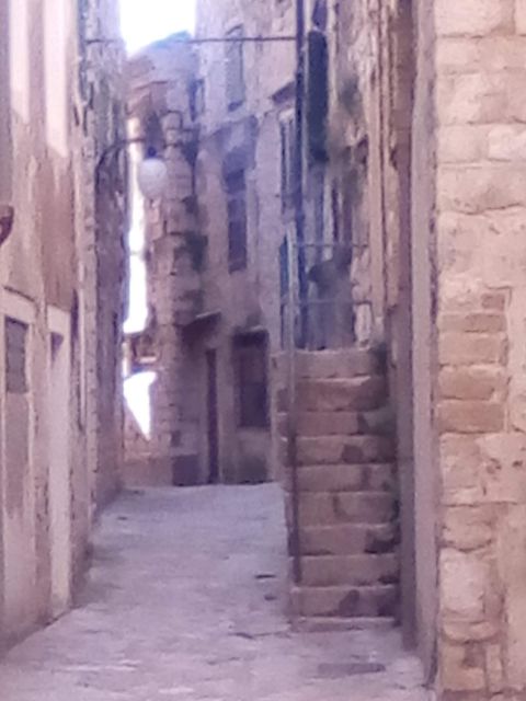 ŠIbenik Walking Tour in One Hour! - Frequently Asked Questions
