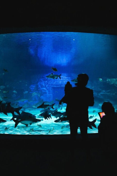 Siem Reab: Angkor Wildlife & Aquarium - Frequently Asked Questions