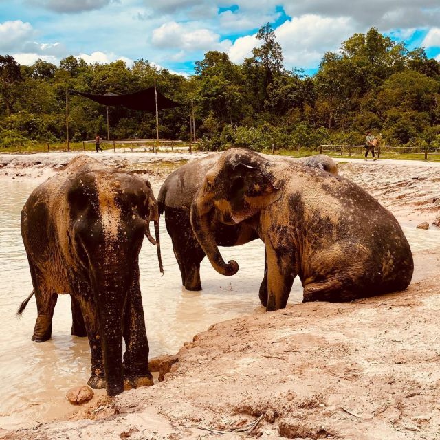 Siem Reap: Kulen Elephant Forest & Tonlesap Lake - Frequently Asked Questions