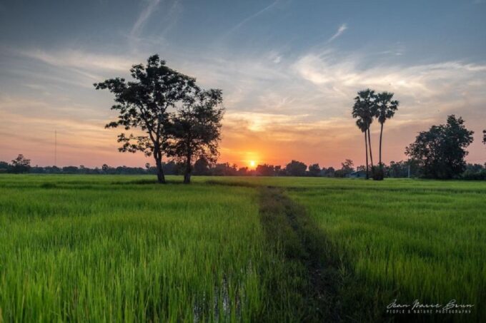 SiemReap Sunset Dinner Riding an Ox-Cart at Rice Paddy Field - Frequently Asked Questions