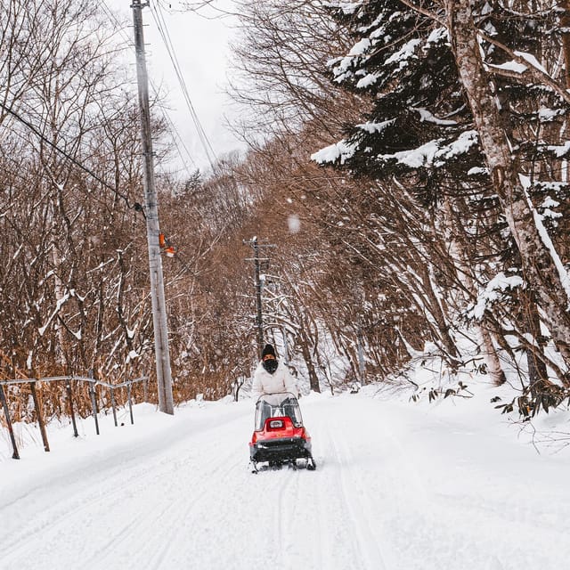 Snow Play, Sleds, Retro Snowmobiles - Recap