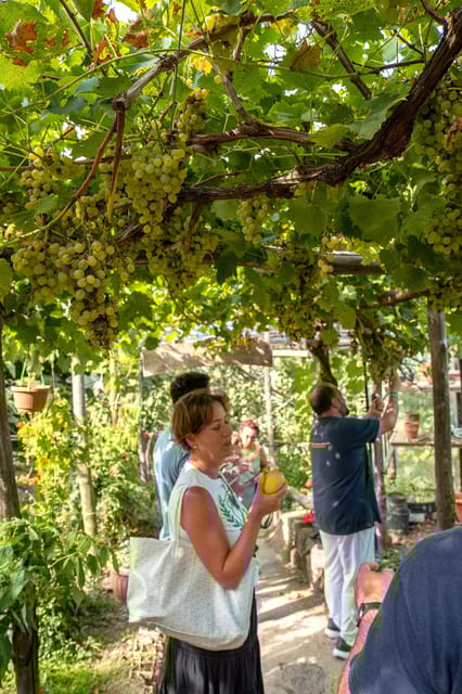 Sorrento: Lemons Grove, Farm Tour&Tasting and Pizza Class - Frequently Asked Questions