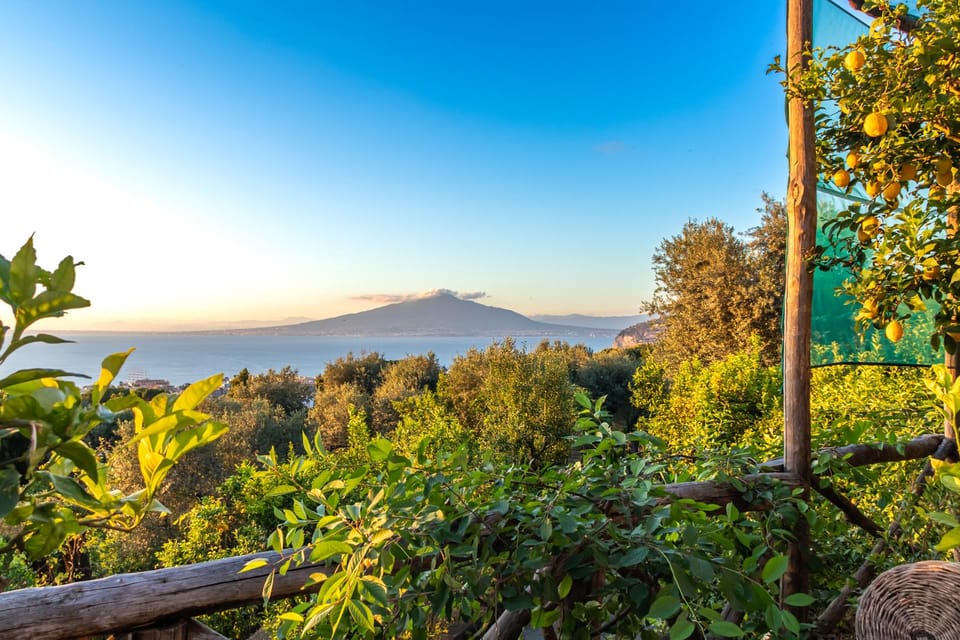 SORRENTO: Wine Tasting Overlooking the Sea in a Lemon Grove - Frequently Asked Questions