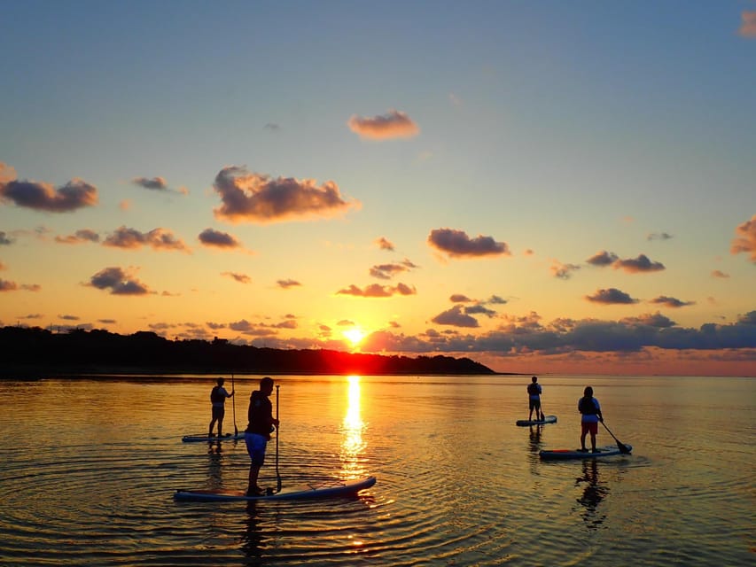 Stand Up Paddleboard: Amazing Sunrise at Mangrove River - Recap