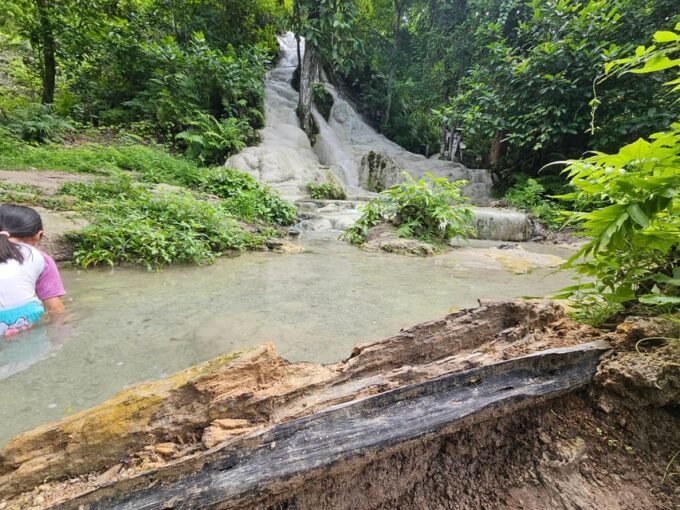Sticky Waterfall & Wild Temple & Rare Forest Market. - Frequently Asked Questions