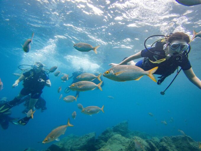 Tenerife: Beginners Scuba Diving Experience - Frequently Asked Questions