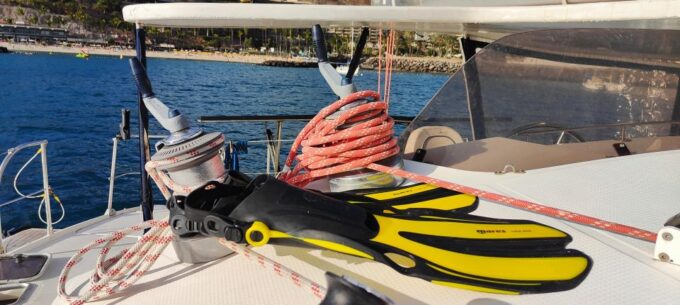 Tenerife: Catamaran Sailing Trip With Snorkeling and Lunch - Frequently Asked Questions
