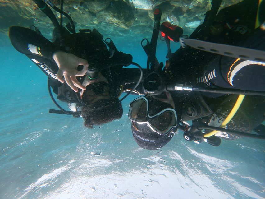 Tenerife: Costa Adeje Private Diving Lesson Experience - Frequently Asked Questions