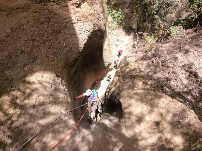 Tenerife: Guided Canyoning Experience in Los Arcos - Frequently Asked Questions