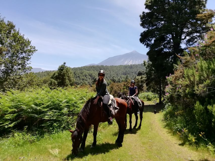 Tenerife: Guided Horseback Riding Tour to the Lomo Forest - Frequently Asked Questions