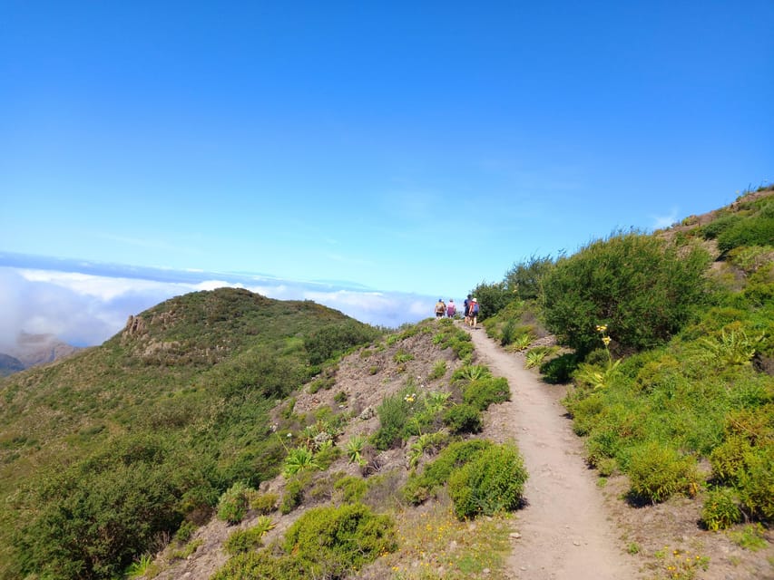 Tenerife: Hiking Above the Village of Masca - Frequently Asked Questions